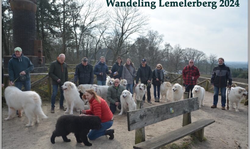 Fotoalbum Wandeling Lemelerberg toegevoegd