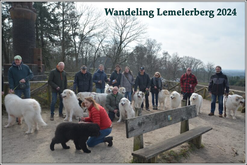 Fotoalbum Wandeling Lemelerberg toegevoegd