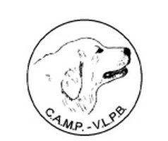 Ras Speciale CAMP-VLPB 2024